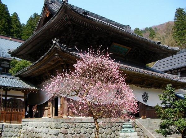 Ngôi Già lam Eihei, một trong hai Tổ đình dòng Thiền Tào Động Phật Giáo Nhật Bản