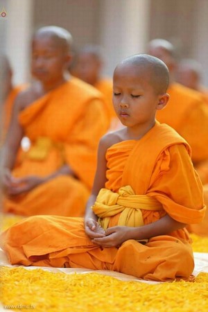 Thái Lan: Hình ảnh Tu viện Wat Phra Dhammakaya tổ chức cuộc Hành hương vì hòa bình