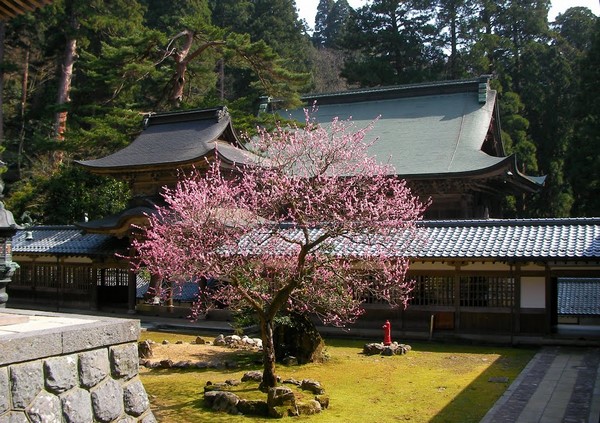 Ngôi Già lam Eihei, một trong hai Tổ đình dòng Thiền Tào Động Phật Giáo Nhật Bản