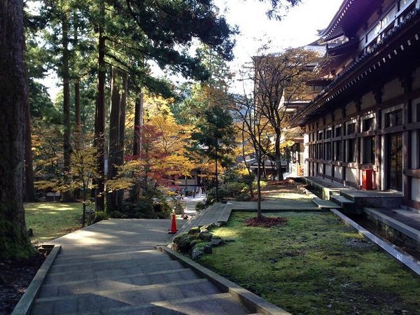 Ngôi Già lam Eihei, một trong hai Tổ đình dòng Thiền Tào Động Phật Giáo Nhật Bản