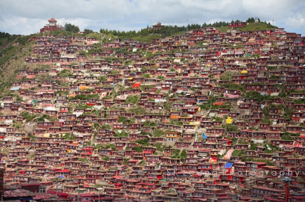 Những bức ảnh độc đáo Học viện Phật giáo Tây Tạng lớn nhất hành tinh