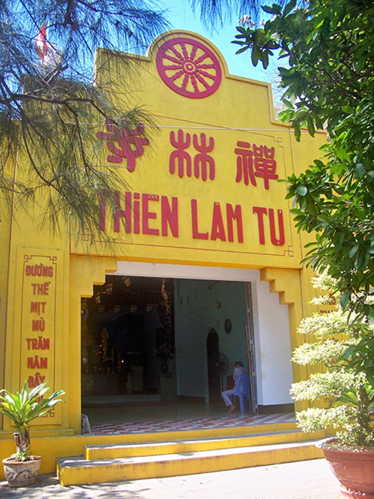 Hậu duệ cây Bồ Đề thiêng của Ấn Độ ở Vũng Tàu