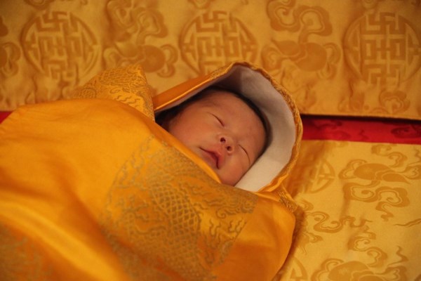 Bhutan: Chúc Phúc Cát tường cho Hoàng tử hạ sinh bằng cách trồng 108.000 cây xanh