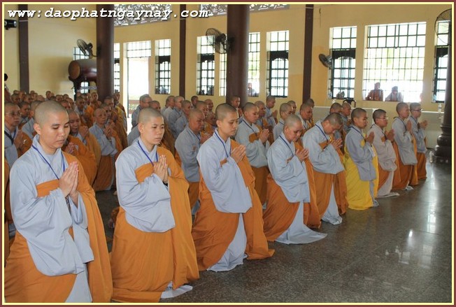 Bình Dương: Đại Giới Đàn Trí Tịnh - Ngày thứ 2 : Giới tử phát lồ sám hối và thọ giới