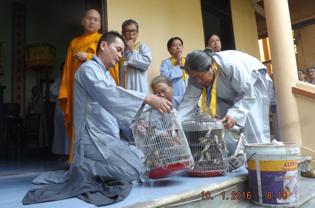 Đạo tràng Bát Quan Trai chùa Đức Hòa tổng kết cuối năm