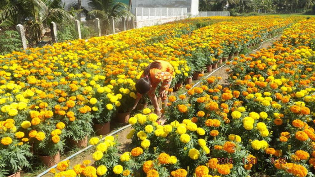 Xót thương nỗi đau mất bố mẹ của ba cháu nhỏ Cường, Quốc, Trang