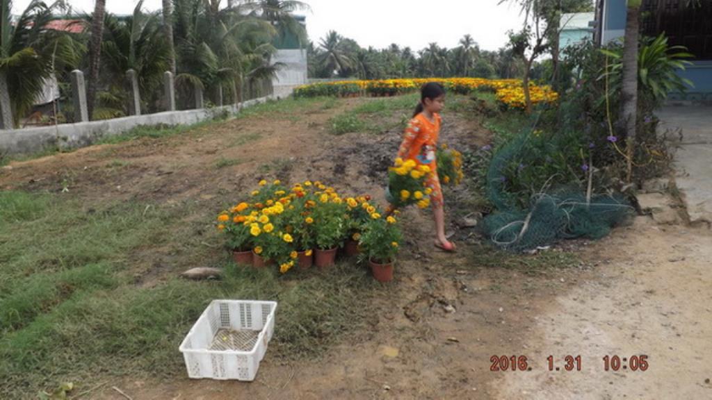 Xót thương nỗi đau mất bố mẹ của ba cháu nhỏ Cường, Quốc, Trang