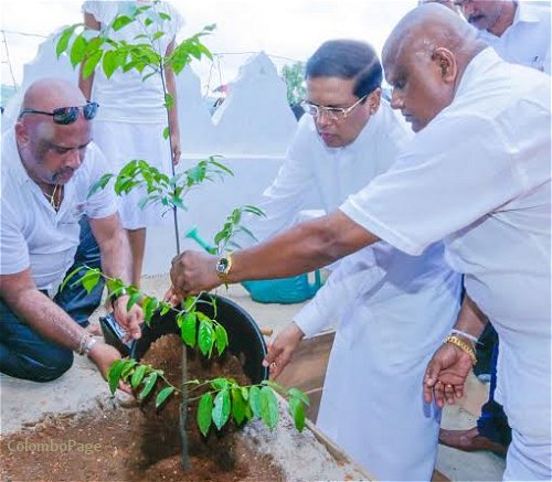 Sri Lanka: Khánh thành tượng Phật cao nhất Nam Á