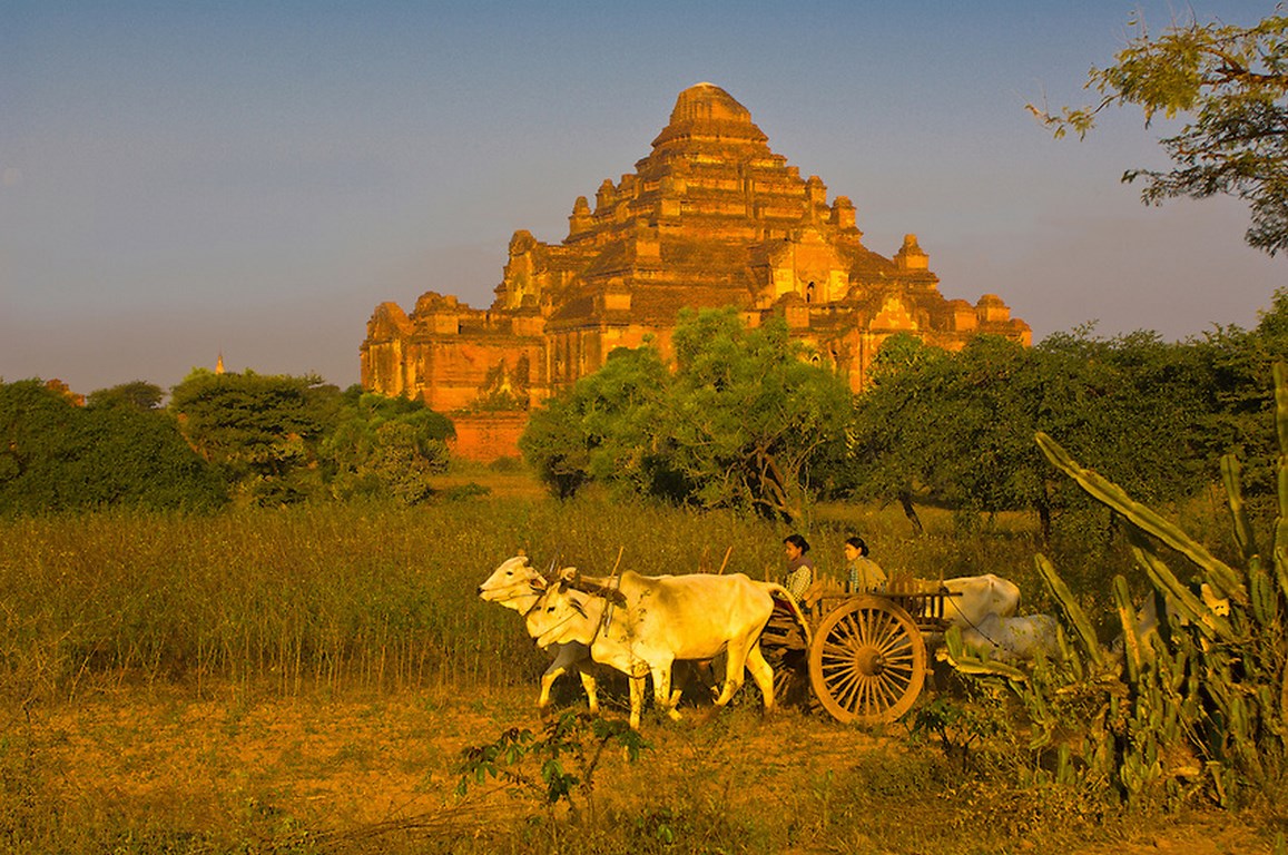 Myanmar: Chùm ảnh Ngôi Già lam Cổ tự Dhammayangyi, Bagan