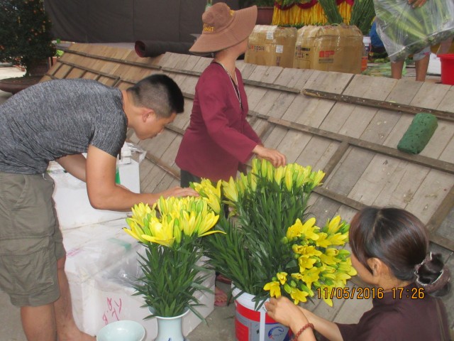 Thái Bình: Công tác chuẩn bị Phật đản tại chùa Từ Xuyên
