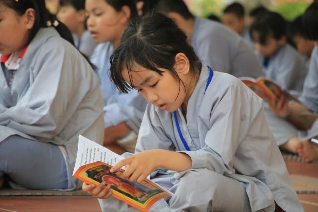 Thái Bình: Chùm ảnh “Nụ thương sen hồng” tại chùa Từ Xuyên ( 04/06/2016)