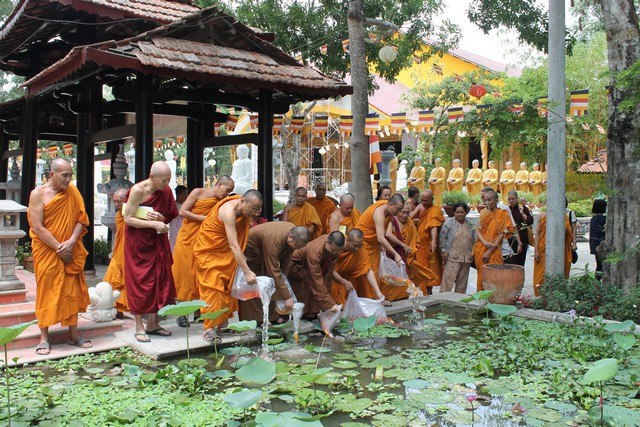 Đồng Nai:Buổi Tọa đàm về Nét Đặc Trưng Văn Hóa  Phật Giáo Nam Tông Kinh