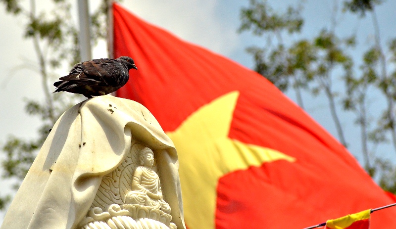 Rợp cờ hoa kính mừng Phật đản