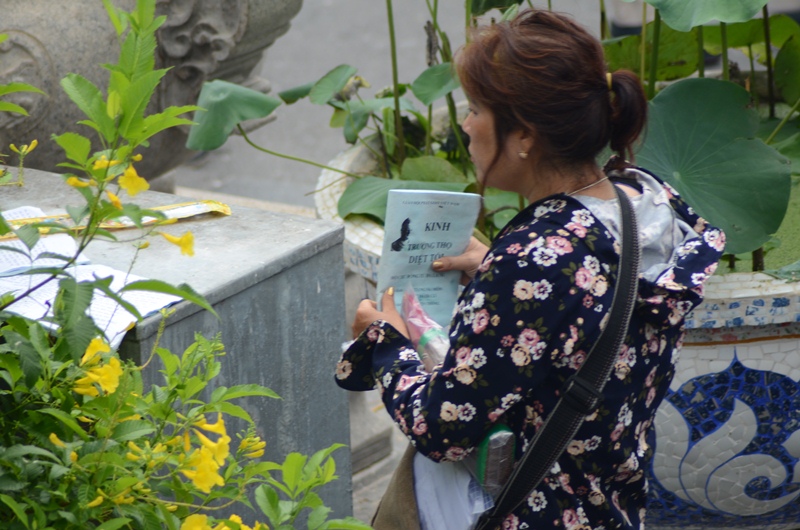 Rợp cờ hoa kính mừng Phật đản