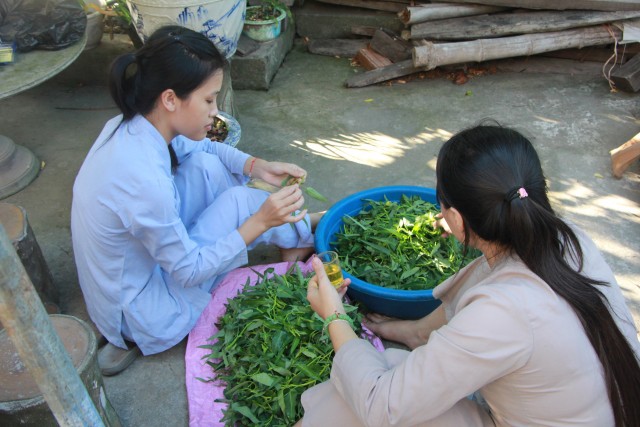 Thái Bình: Chùa Trùng Quang tổ chức khóa tu một ngày