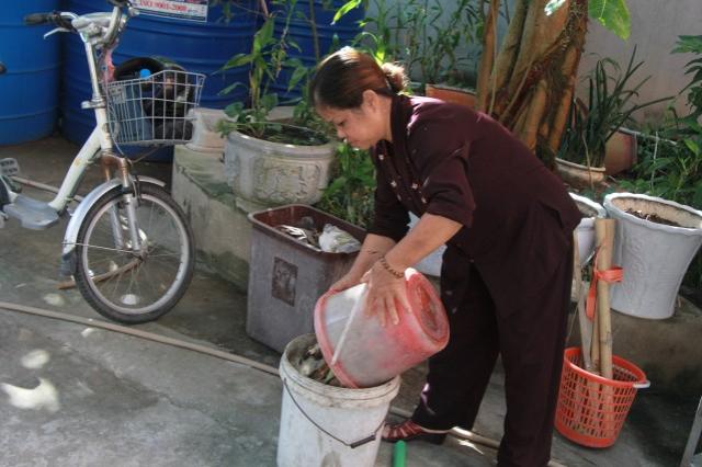 Thái Bình: Công tác chuẩn bị Đại lễ Vu Lan tại chùa Từ Xuyên