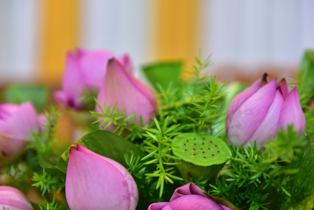 Chùa Giác Ngộ: Lễ hằng thuận của Phật tử Thanh Tú và Minh Tú