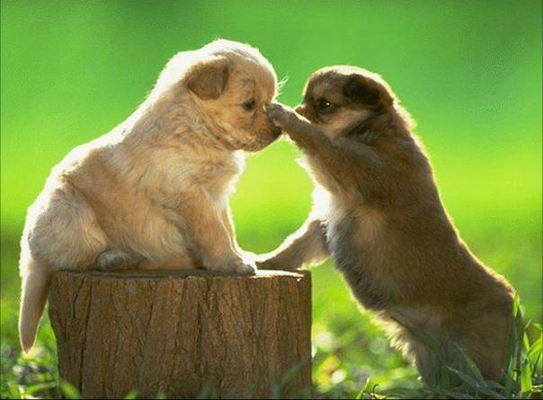 Nhìn sâu nghĩ kỹ để cảm thông với người...