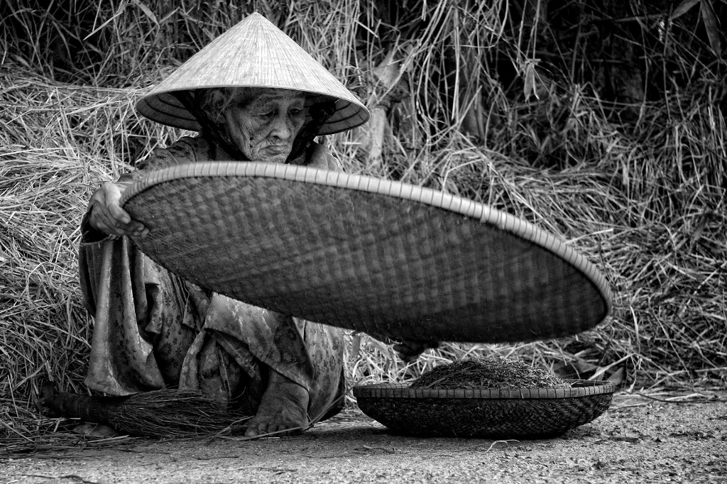 Nhiệm mầu hai tiếng Mạ ơi!