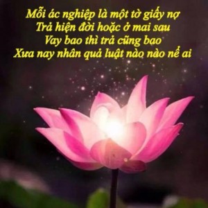 Bị đổ nghiệp