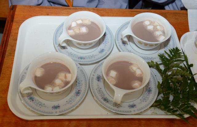 Chùa Đức Viên, San Jose ( Hoa Kỳ ) Tổ Chức Khoá Tu Thiếu Nhi Mùa Đông Và Hội Â3m Thực Mừng Năm Mới 2017.