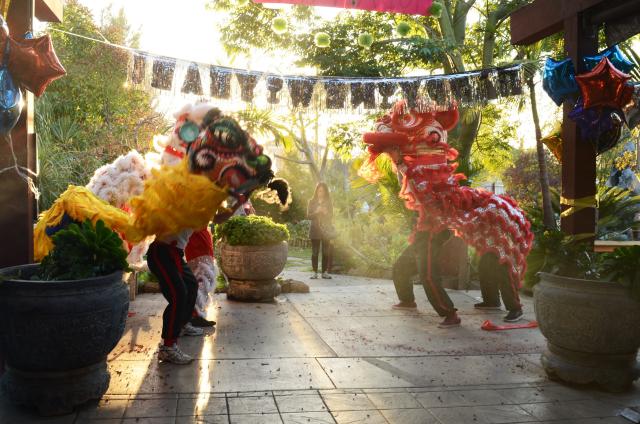 Chùa Đức Viên, San Jose ( Hoa Kỳ ) Tổ Chức Khoá Tu Thiếu Nhi Mùa Đông Và Hội Â3m Thực Mừng Năm Mới 2017.