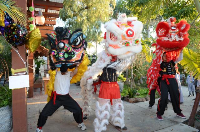 Chùa Đức Viên, San Jose ( Hoa Kỳ ) Tổ Chức Khoá Tu Thiếu Nhi Mùa Đông Và Hội Â3m Thực Mừng Năm Mới 2017.