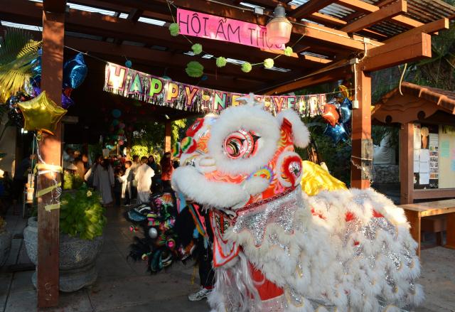 Chùa Đức Viên, San Jose ( Hoa Kỳ ) Tổ Chức Khoá Tu Thiếu Nhi Mùa Đông Và Hội Â3m Thực Mừng Năm Mới 2017.