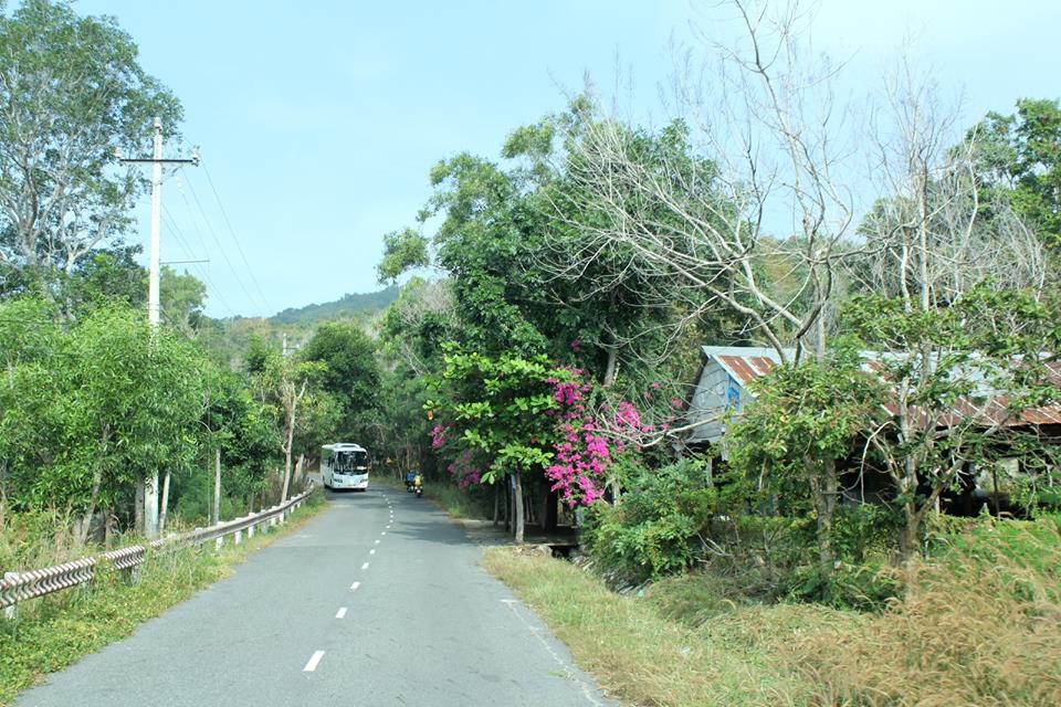 Thiêng liêng Đại lễ cầu siêu anh linh các anh hùng liệt sĩ