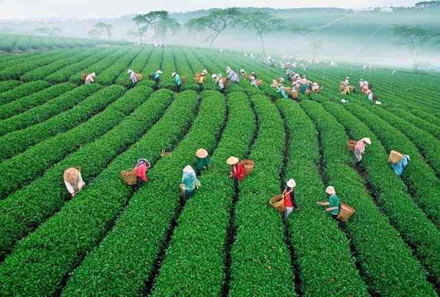 Chương Trình Khoá Tu Gieo Hạt Từ Tâm, Kì 54- Tết Đoàn Viên 30 - 31/12/2016 &amp; 01/01/2017