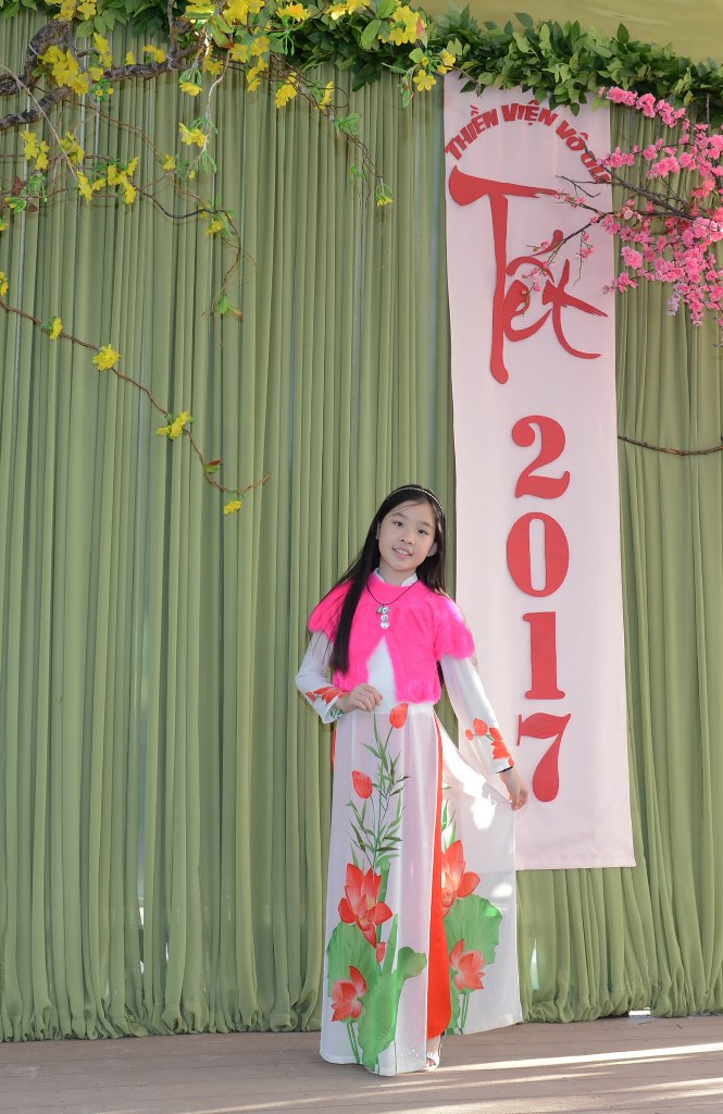 Viếng chùa miền Bắc California tết Đinh Dậu (2017)