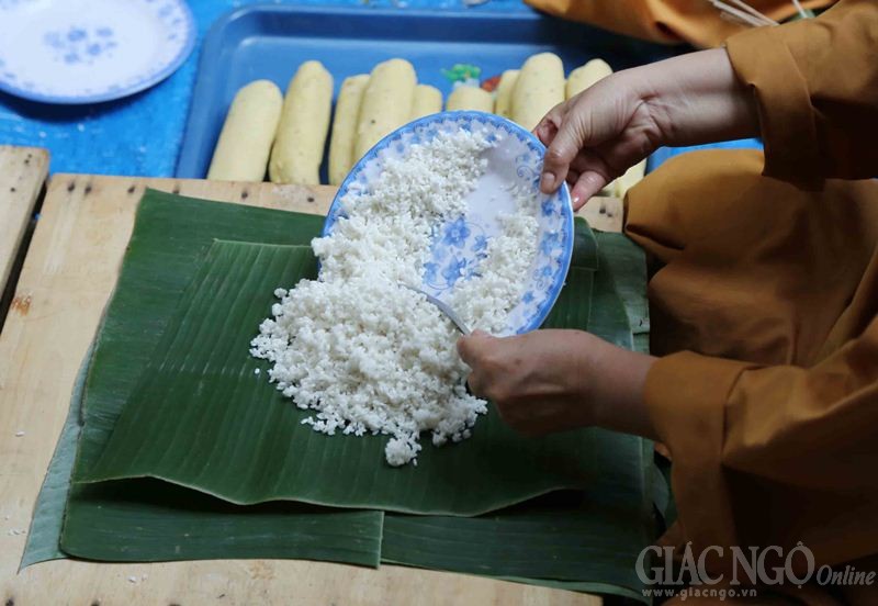 Vui xuân trong lẽ Đạo
