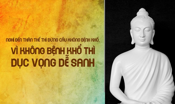Nhân Quả Là Chân Lý Sống