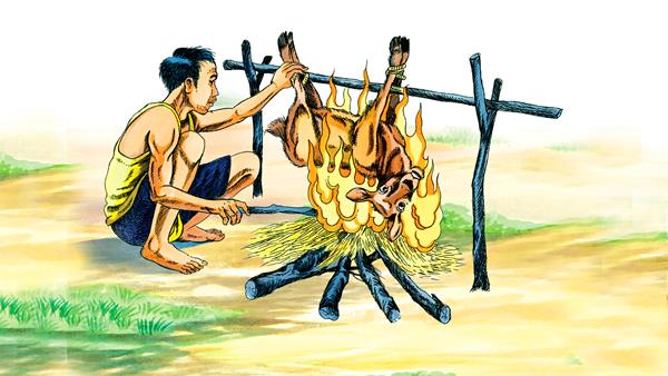 Nhân Quả Là Chân Lý Sống