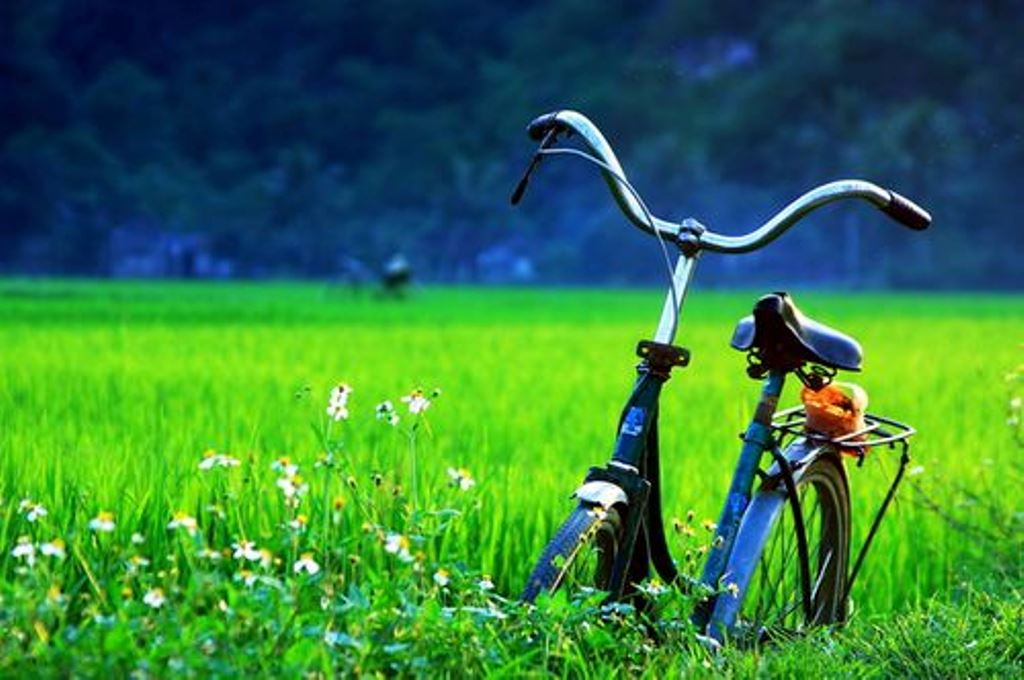 Tâm Lắng Nghe