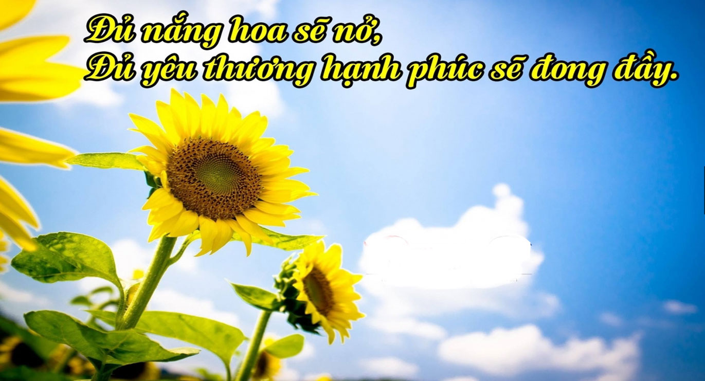 Hãy Tôn Trọng Sự Sống Con Người