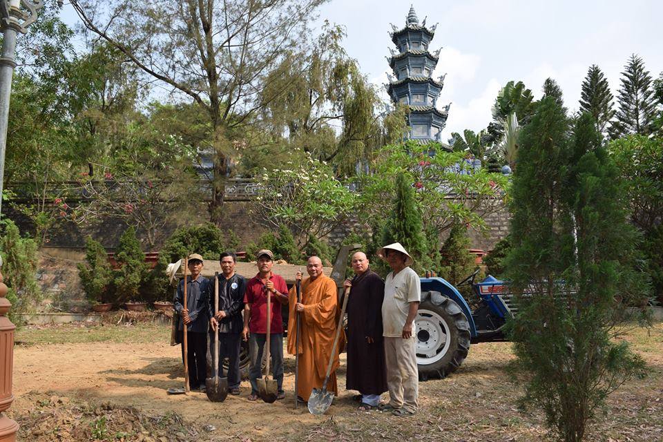 Trường cũ tình xưa