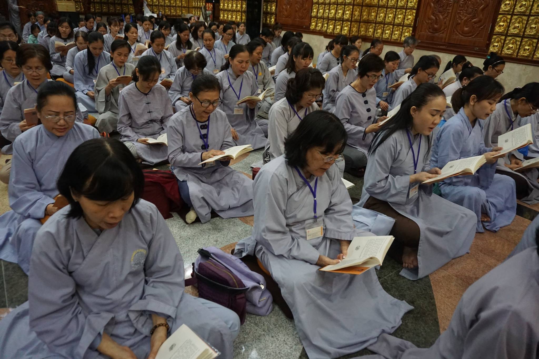 Chùa Giác Ngộ: Khóa tu Thiền lần thứ 10