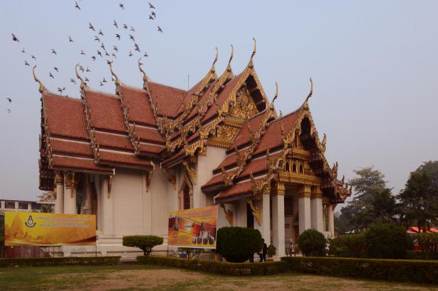 Trang Nghiêm Khai Mạc Đại Lễ Trùng Tụng Tam Tạng Thánh Điển Pali Tại Bồ Đề Đạo Tràng ( Ấn Độ ) Lần Thứ 13 năm 2017