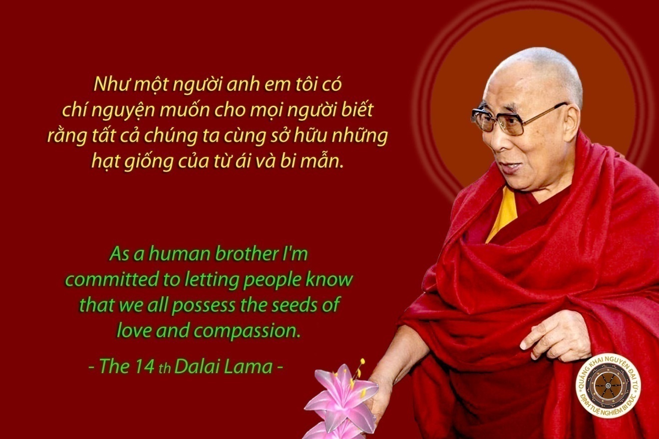 Đường Đến An Bình Thật Sự