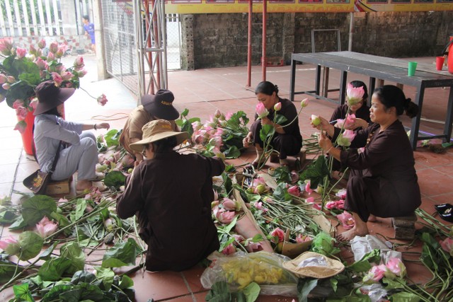 Thái Bình: Gần 1000 thiện sinh dự khóa tu sen hồng chùa Từ Xuyên