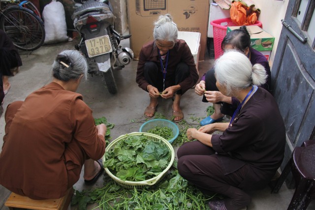 Thái Bình: Gần 1000 thiện sinh dự khóa tu sen hồng chùa Từ Xuyên