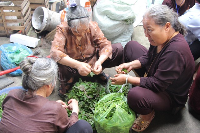 Thái Bình: Gần 1000 thiện sinh dự khóa tu sen hồng chùa Từ Xuyên