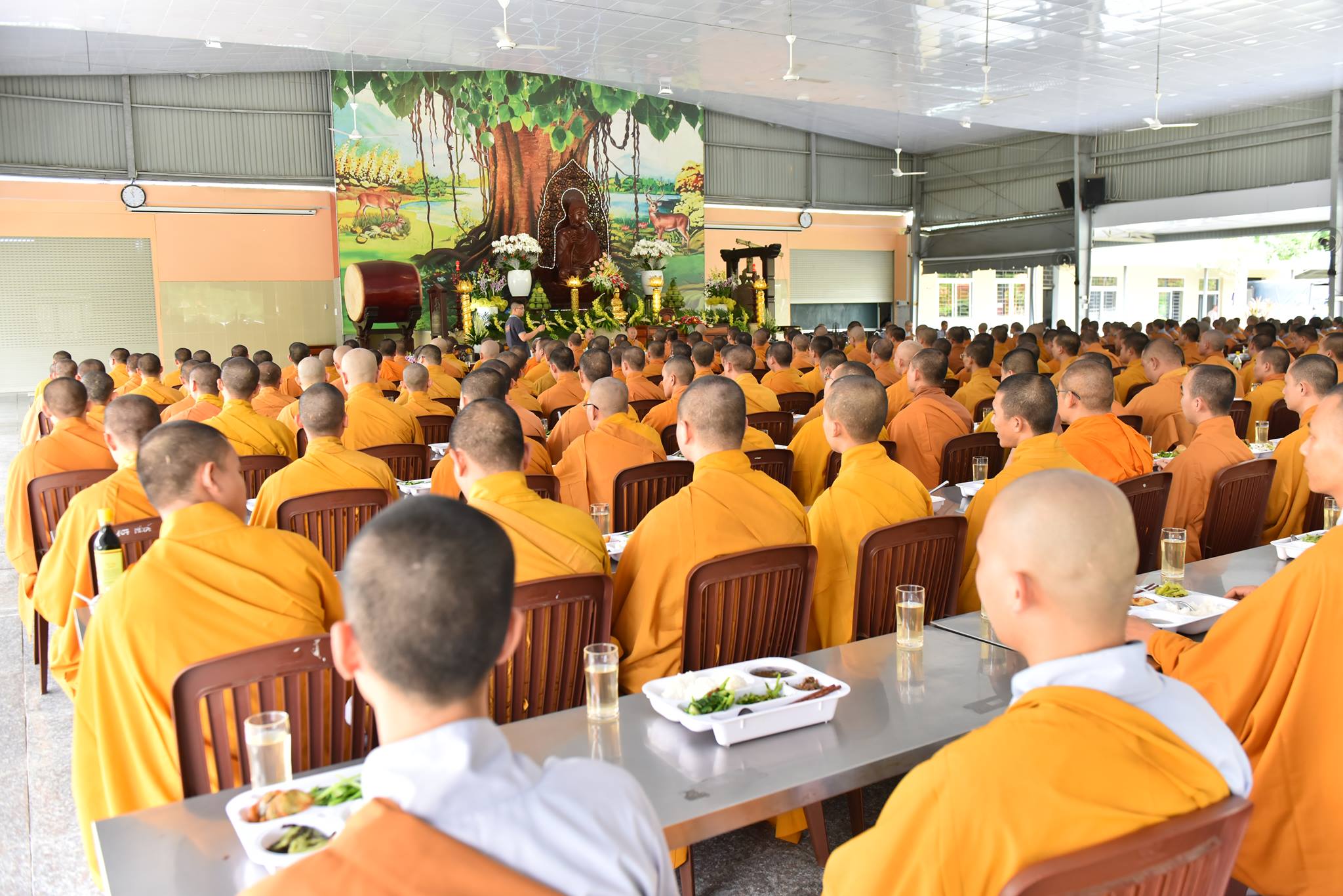 Pháp thoại: PHẬT GIÁO THEO QUAN ĐIỂM NGUYÊN THUỶ VÀ ĐẠI THỪA - TT.Thích Nhật Từ (09-07-2018)