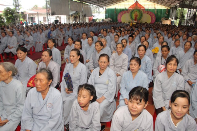 Thái Bình: Lễ hội bông hồng cài áo tại chùa Từ Xuyên