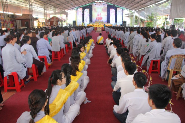 Thái Bình: Lễ hội bông hồng cài áo tại chùa Từ Xuyên