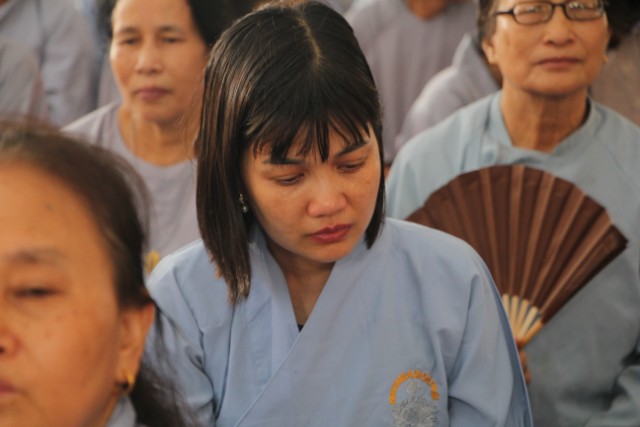Thái Bình: Lễ hội bông hồng cài áo tại chùa Từ Xuyên