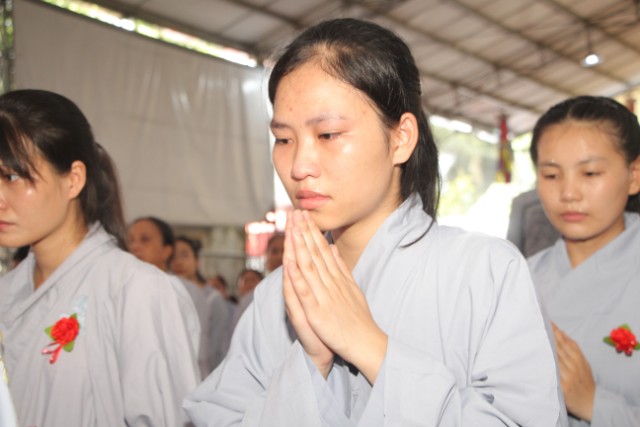 Thái Bình: Lễ hội bông hồng cài áo tại chùa Từ Xuyên