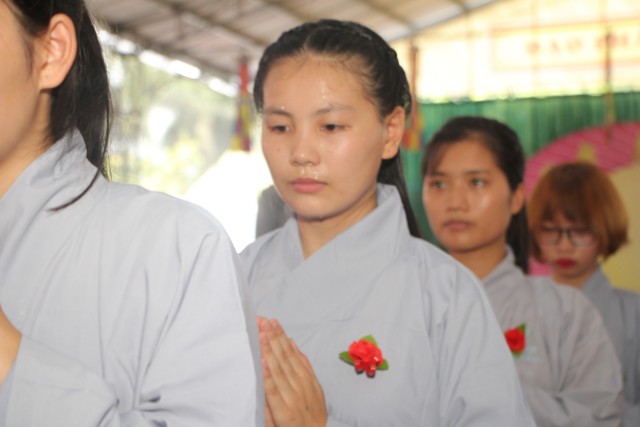 Thái Bình: Lễ hội bông hồng cài áo tại chùa Từ Xuyên