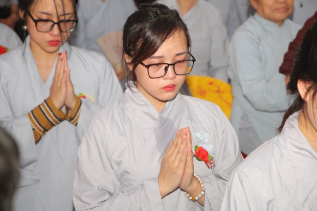 Thái Bình: Lễ hội bông hồng cài áo tại chùa Từ Xuyên